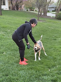 For whatever reason, Durby always wants to attack his leash when we get to this portion of the walk
