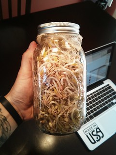 Sprouts. Round 2.
