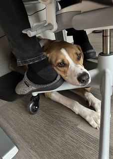 Working from home with Durby