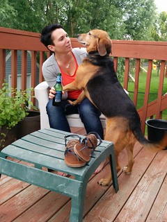 Most awkward dog in the universe