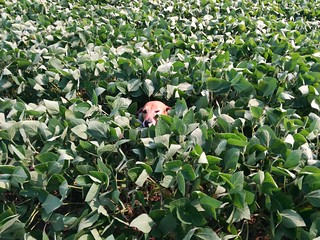 Garth Brooks loves country livin