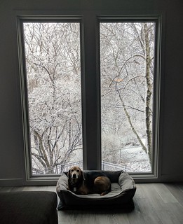 Snow - Hangin with Garth