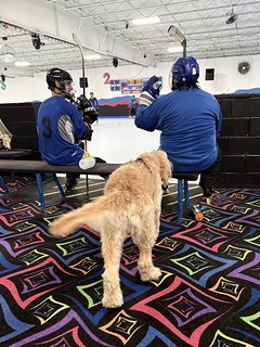 Pick up hockey stuff