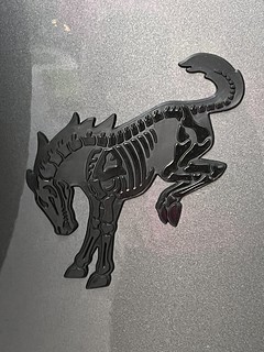 This Bronco skeleton emblem was fun