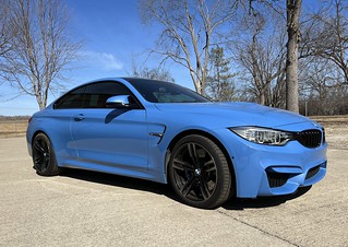 The first sign of Spring