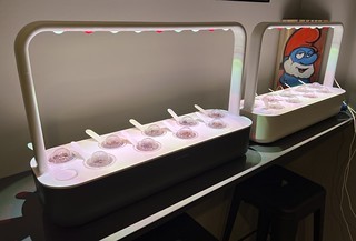 Art - Kari’s garden season has arrived