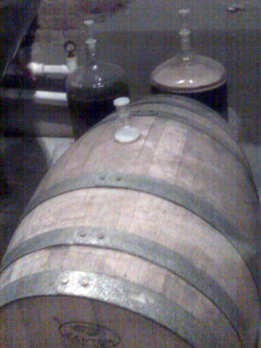 Brewery - Small batches of beer fermenting at Court Ave Brewery