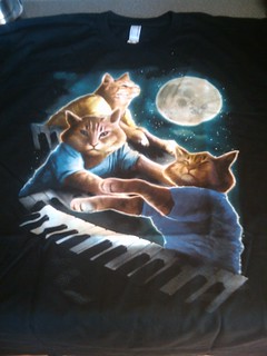 My 3 keyboard cat shirt came today!
