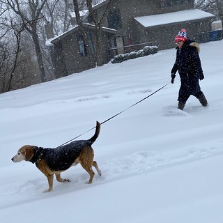 Snow - Trompin through the streets
