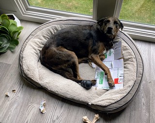 Benny Brooks - Just over here bein an asshole