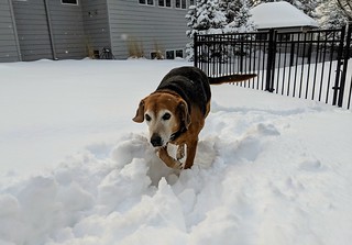Snow - Kinda nervous. Kinda happy.