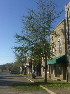 Green Leaves Fall Down