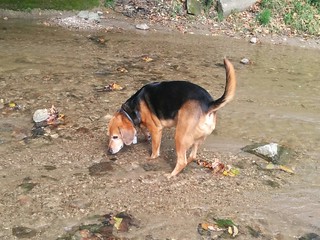 Starting to warm up to this water idea.