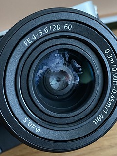 Benny Brooks - New dog licked my new camera lens