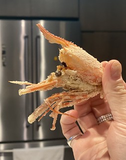 Covid-19 - Shrimp head