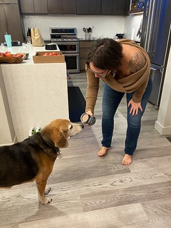 Covid-19 - Garth gets fancy food on Fridays too