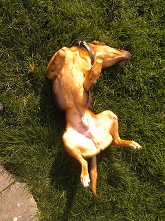 Garth's idea of "come inside"