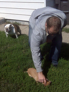 Todd Makinster - Todd rubbing Zoey's face in the dirt
