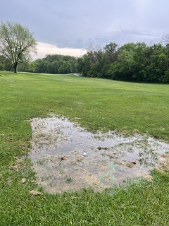 Willow Creek - The lie of my first shot of the day, hah.