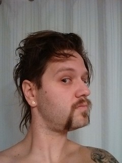 Mustache - Fu Manchu