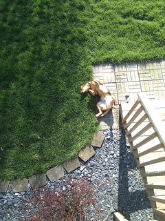 Garth Brooks's idea of "go potty"