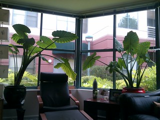 Evan and Shanthala have a lot of sweet plants