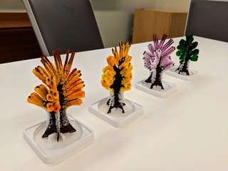 Venmo - LOOK AT THESE TREES