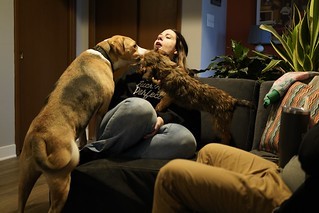 Nicole Sutherland - Dog lady