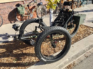 Bicycle - Fat trike