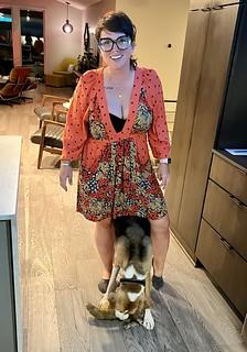 2737 - Durby likes to hang between peoples legs