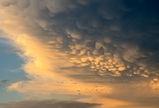 Mammatus at sunset