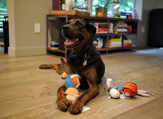 Benny Brooks - Happy about new toys