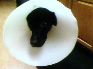 Cone Face