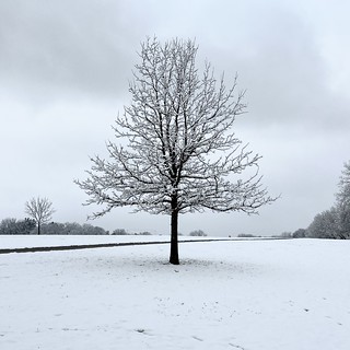 Snow - Winter is here