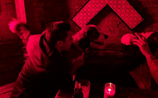 There's a good boy in this club