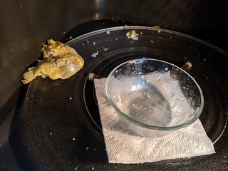 Microwaved an egg