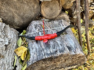 Found, what I believe to be some Native American artifacts in my back yard. That, or Flynn was here.