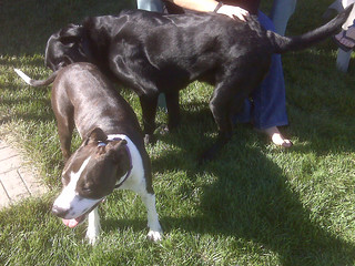 Lilly - Meeting Lilly