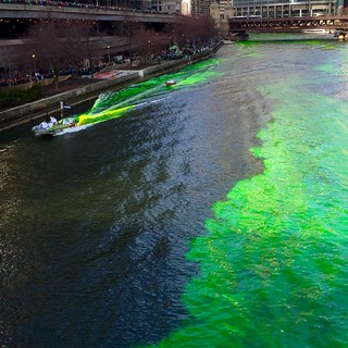 Chicago river dying