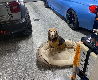 "i dunno why my bed is here, but i'm gonna sit in it"