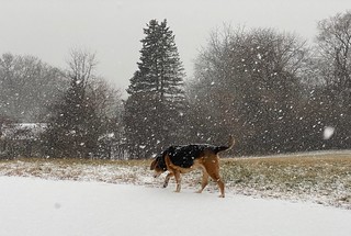 Snow - A snowy walk with Garth Brooks