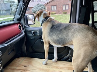 Enjoying the ride with no passenger seat