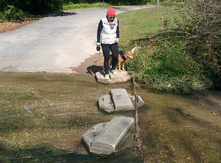 Birthday obstacle course