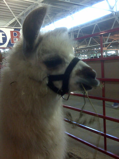 I wish I was this dude.