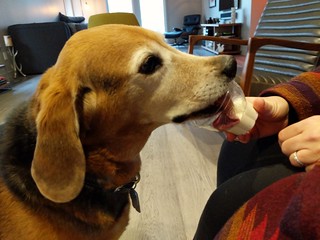 Really crammin it in there