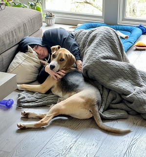 2737 - I have interrupted covid cuddle time