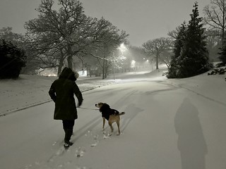 Snow - Makin the first tracks on our street