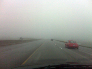 Fog - Foggy drive to work.