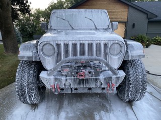 Slimy Silver Squirrel