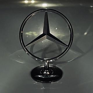 Sandie’s new car has a legit hood ornament